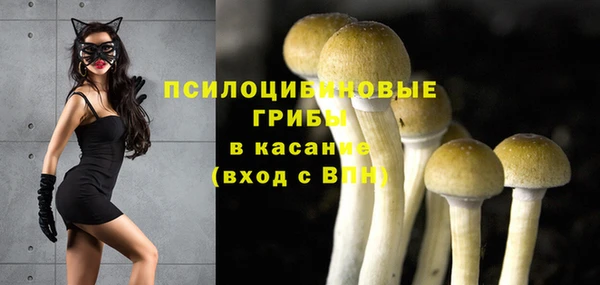 крисы Волосово