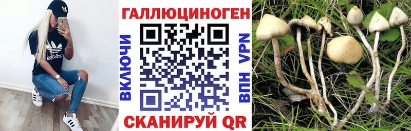 Псилоцибиновые грибы прущие грибы  Салехард 