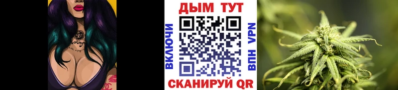 цены   Салехард  Бошки Шишки планчик 